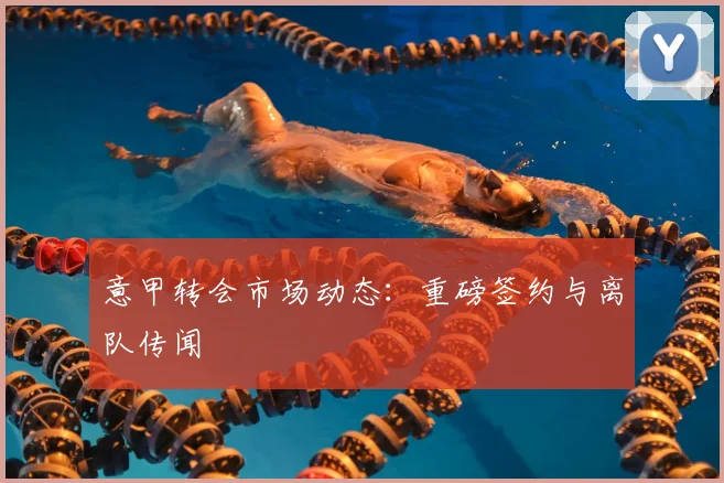 意甲转会市场动态：重磅签约与离队传闻